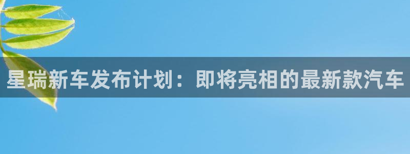 大满贯代理