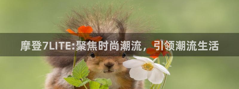 大满贯体育凯捷平台主管