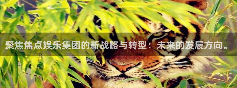大满贯3官网登录：聚焦焦点娱乐集团的新战略与转型：未来的发展方向。