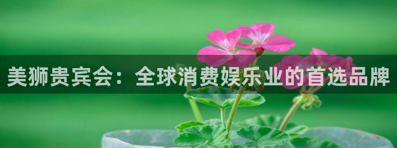 大满贯