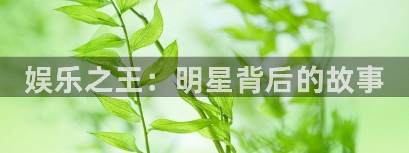 大满贯：娱乐之王：明星背后的故事