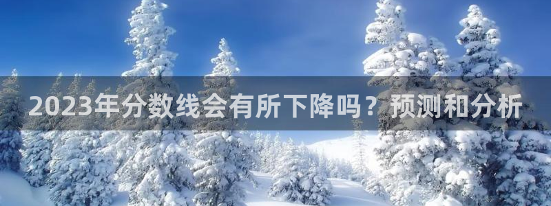 大满贯集团：2023年分数线会有所下降吗？预测和分析