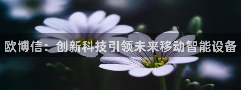 大满贯平台注册：欧博信：创新科技引领未来移动智能设备