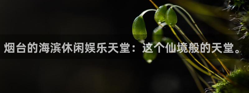 大满贯登录界面入口：烟台的海滨休闲娱乐天堂：这个仙境般的天堂。