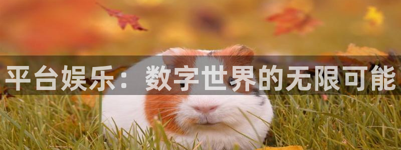 大满贯体育代理：平台娱乐：数字世界的无限可能