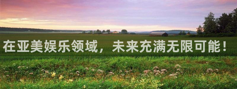 大满贯包怎么样：在亚美娱乐领域，未来充满无限可能！
