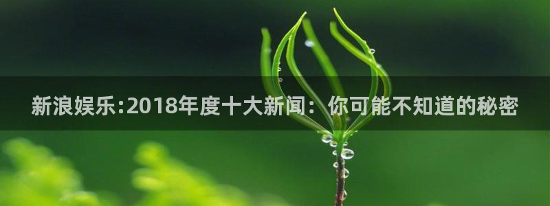 大满贯官网入口：新浪娱乐:2018年度十大新闻：你可能不知道的秘密