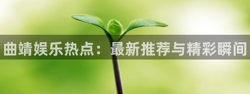大满贯2体育登录入口：曲靖娱乐热点：最新推荐与精彩瞬间