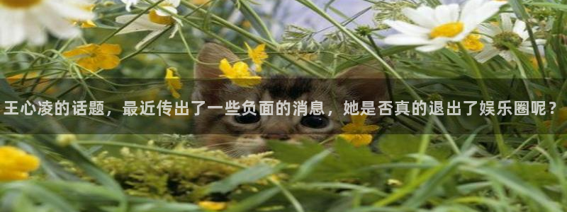 大满贯：王心凌的话题，最近传出了一些负面的消息，她是否真的退出了娱乐圈呢？