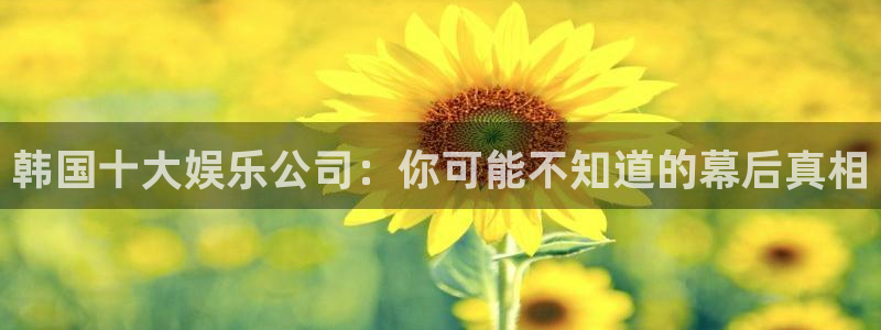 大满贯登录注册：韩国十大娱乐公司：你可能不知道的幕后真相