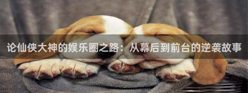 大满贯体育代理申请流程：论仙侠大神的娱乐圈之路：从幕后到前台的逆袭故事