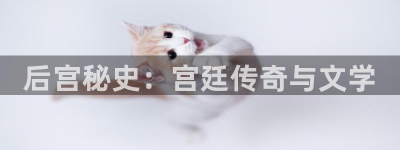 大满贯5：后宫秘史：宫廷传奇与文学