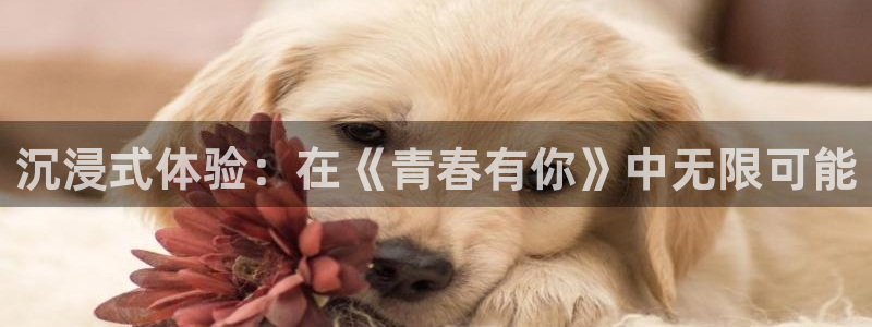大满贯主管：沉浸式体验：在《青春有你》中无限可能