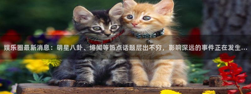 大满贯k：娱乐圈最新消息：明星八卦、绯闻等热点话题层出不穷，影响深远的事件正在发