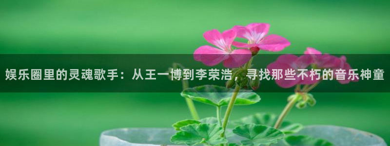 大满贯平台官网：娱乐圈里的灵魂歌手：从王一博到李荣浩，寻找那些不朽的音乐神童
