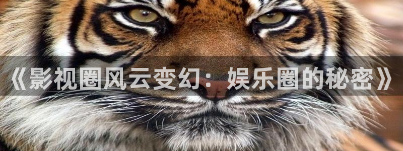 大满贯体育平台登录入口：《影视圈风云变幻：娱乐圈的秘密》