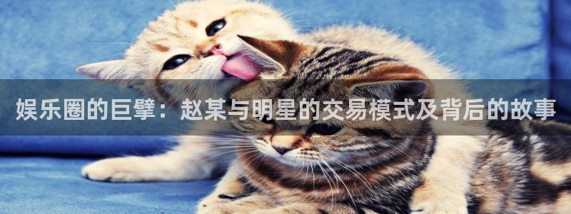 大满贯电子有限公司
